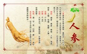 人参