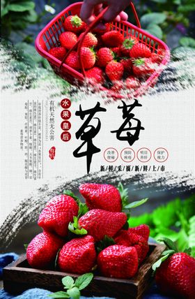 采摘草莓新鲜饮料饮品活动海报