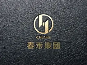 皮质LOGO样机