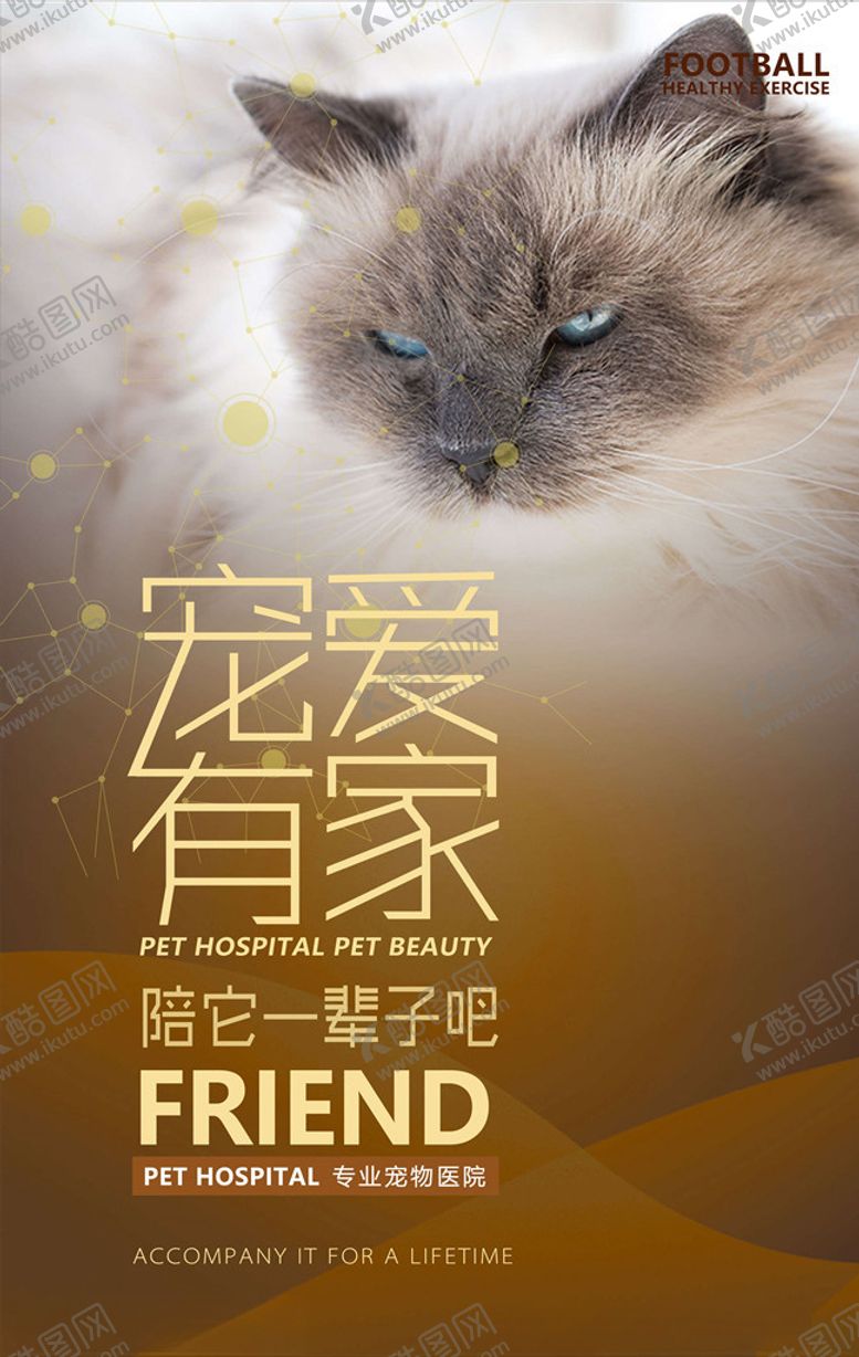 编号：33974905100542127223【酷图网】源文件下载-宠物海报