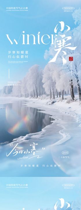 地产小寒节气雪景海报