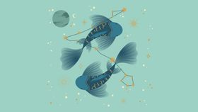 12星座双鱼座插画