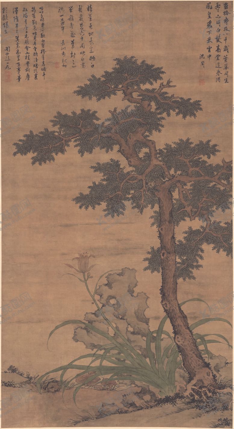 编号：20915309190847435731【酷图网】源文件下载-松树  