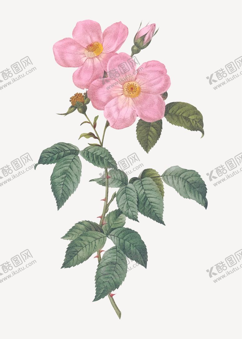 编号：99923607090615504253【酷图网】源文件下载-花纹