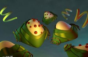 C4D模型立体粽子元素卡通