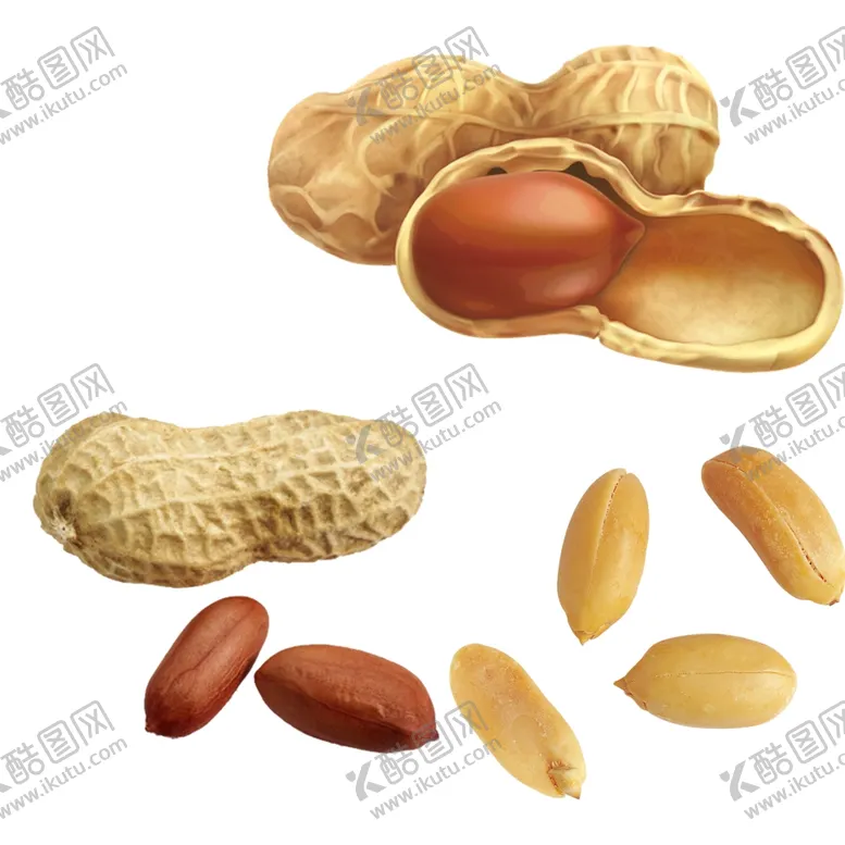 编号：73558902160301521299【酷图网】源文件下载-花生