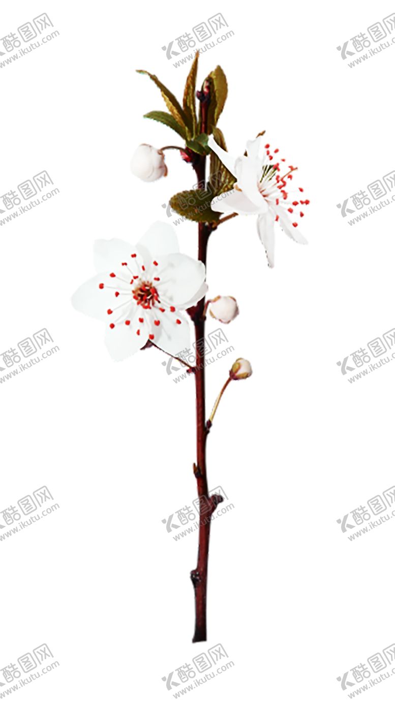 编号：74332707050007315269【酷图网】源文件下载-浪漫素材