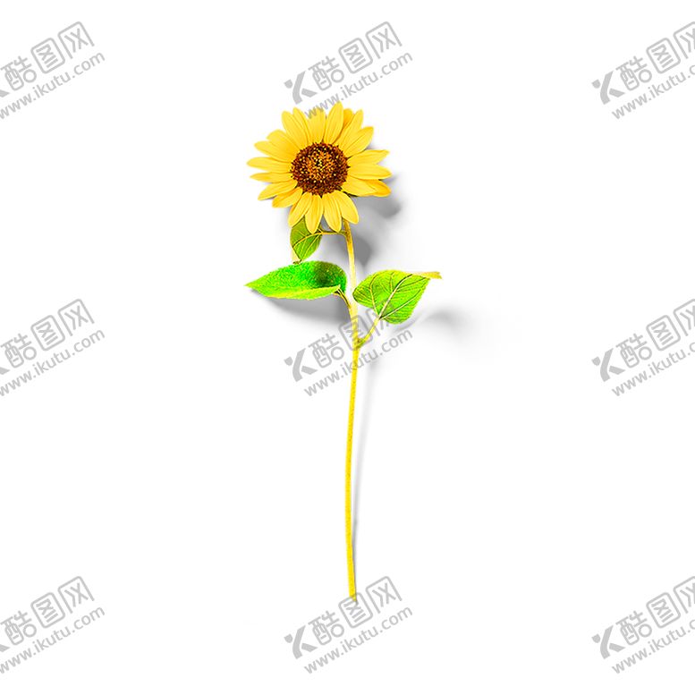 编号：18378706180954042681【酷图网】源文件下载-浪漫素材