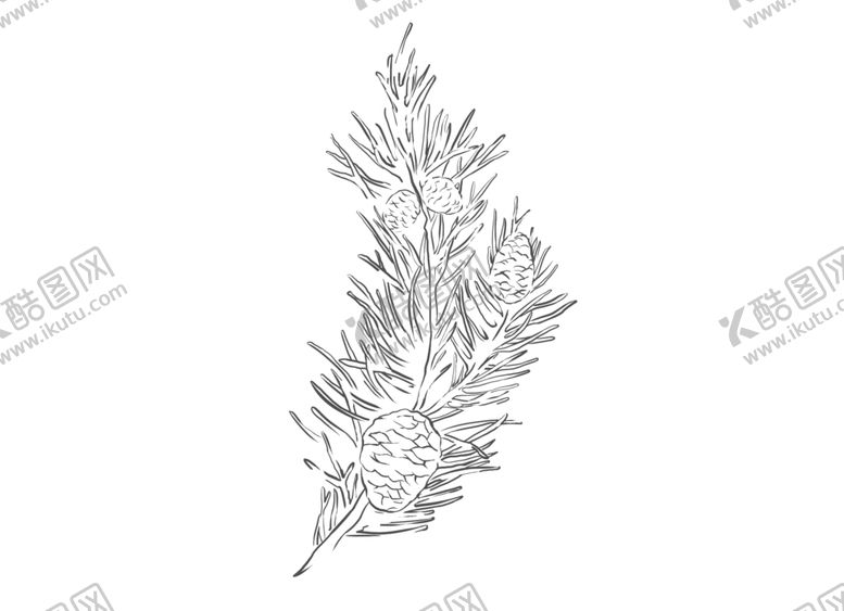 编号：64783910140446167171【酷图网】源文件下载-欧洲赤松单方精油