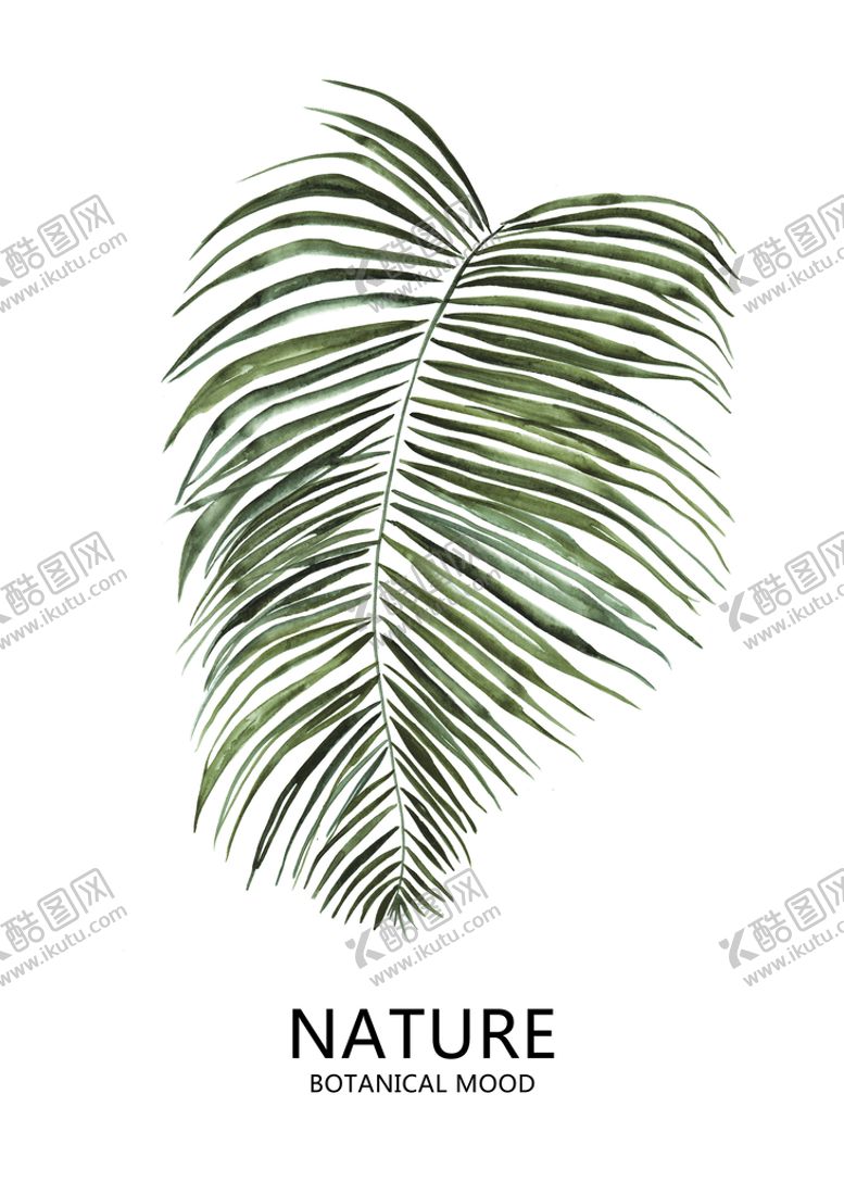编号：20584609180324083410【酷图网】源文件下载-手绘植物