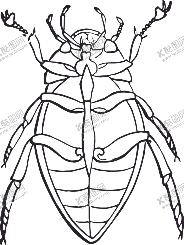 编号：42721807071343317112【酷图网】源文件下载-自然昆虫标本插画