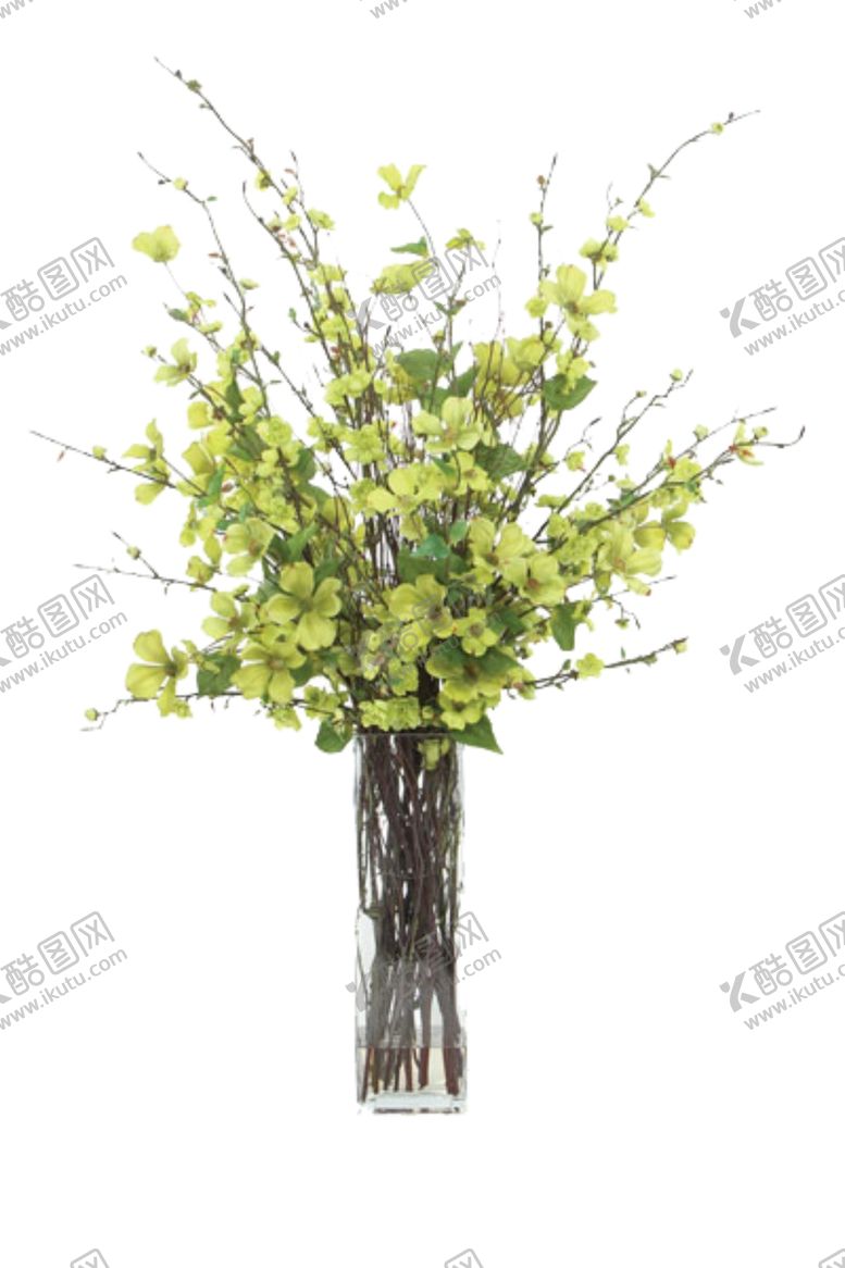 编号：51013807080151075965【酷图网】源文件下载-免抠背景花草树木