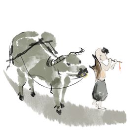 清明节放牛素材