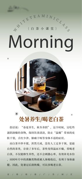 白茶日签小知识系列