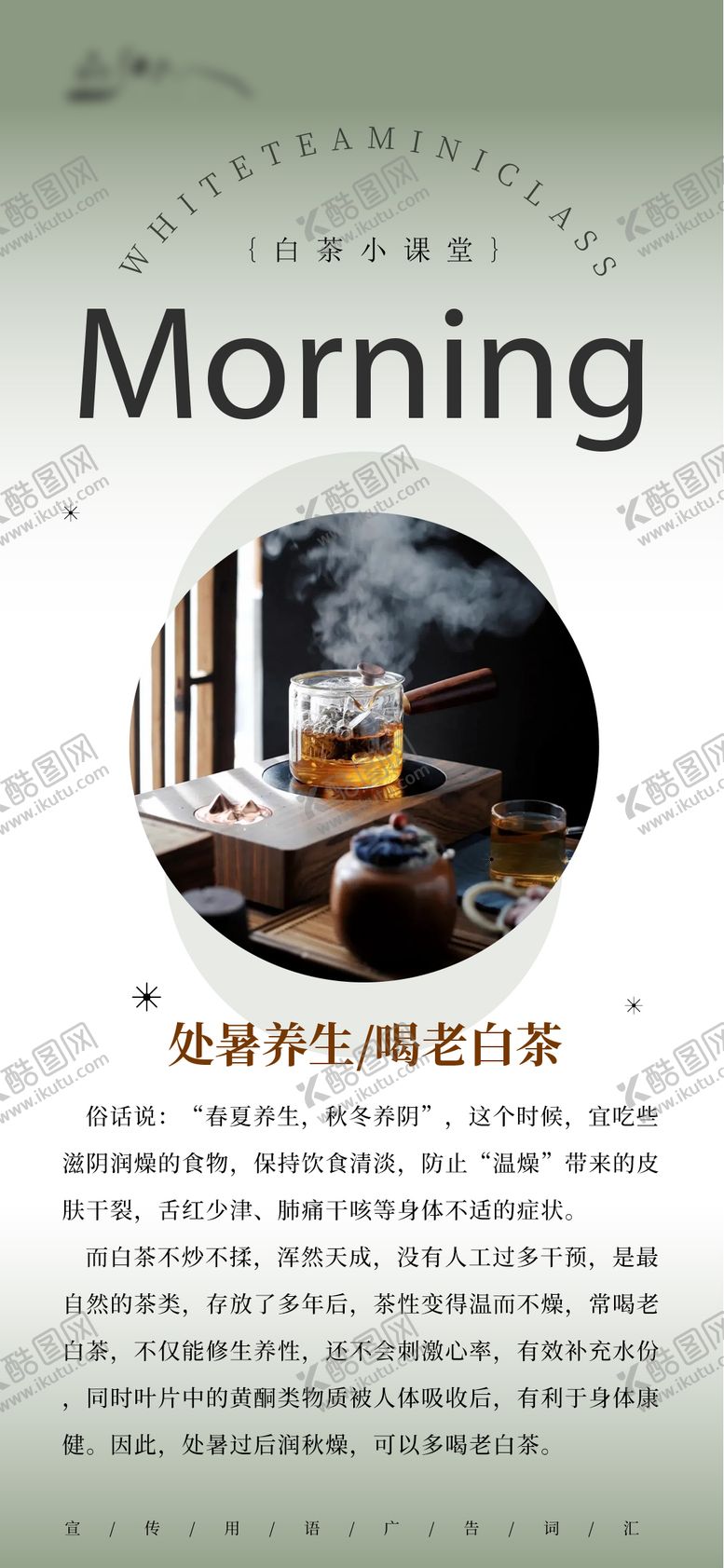 编号：72857307161549437087【酷图网】源文件下载-白茶日签小知识系列