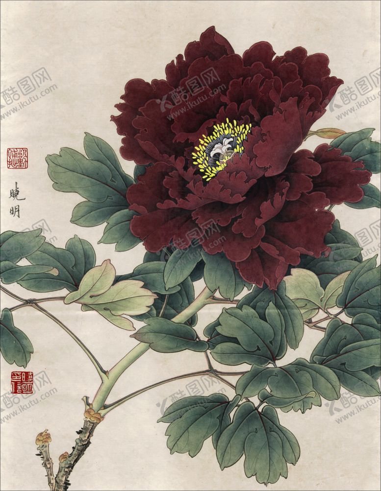 编号：71517505020902166094【酷图网】源文件下载-中式古典花鸟工笔画