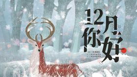 12月你好