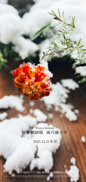 大雪冬至节气海报设计