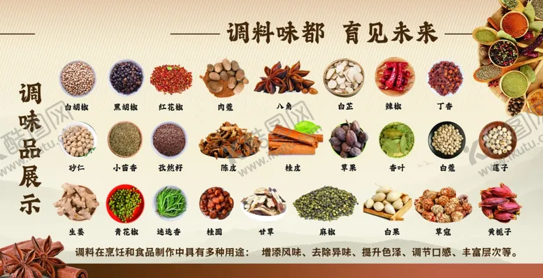 编号：76011905050228123643【酷图网】源文件下载-丰富调料展示图