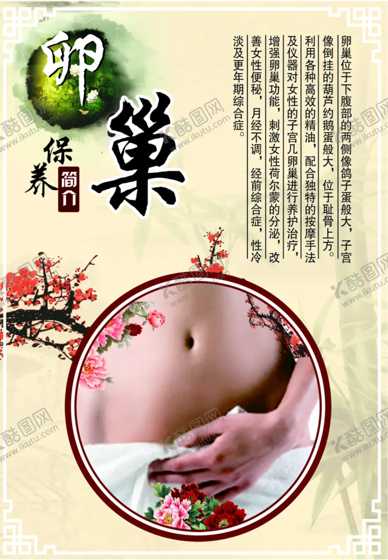 编号：50791410091745436714【酷图网】源文件下载-卵巢