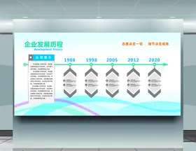 企业发展历程