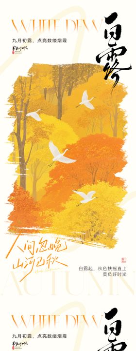 白露节气插画海报