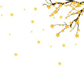 黄花枝头装饰点缀海报合成素材