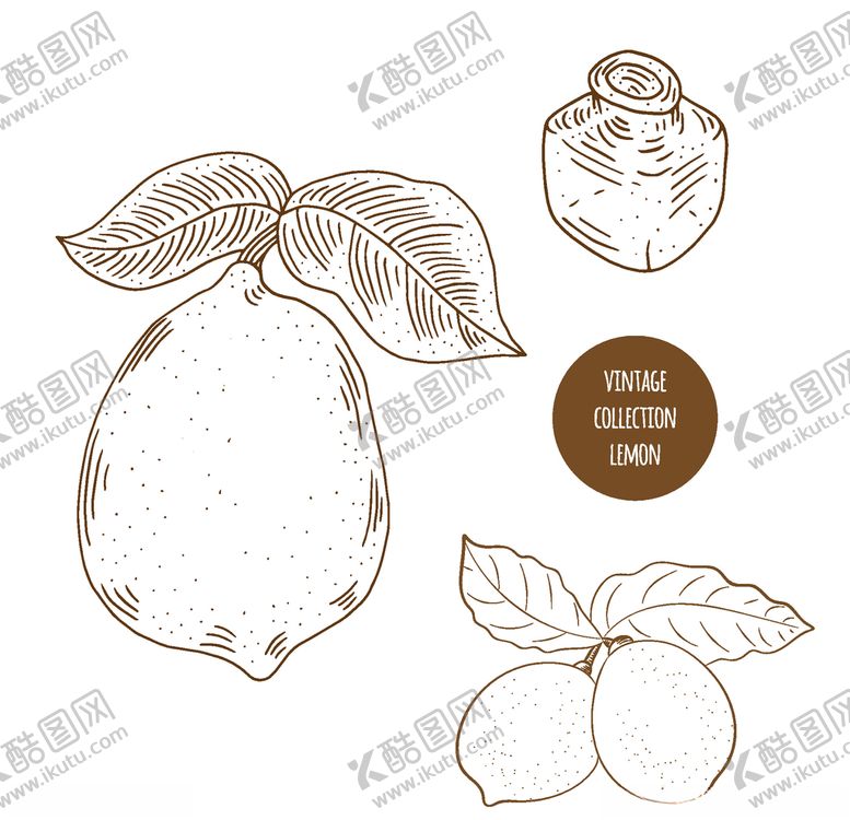 编号：53236006191128362499【酷图网】源文件下载-植物线稿
