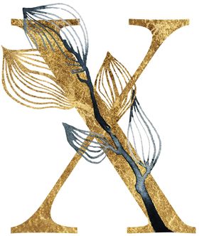 金色花纹字母