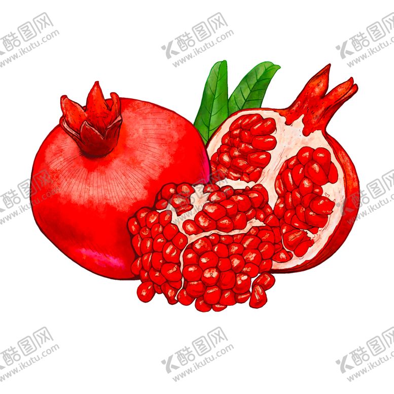 编号：92752609271909447900【酷图网】源文件下载-手绘水彩石榴