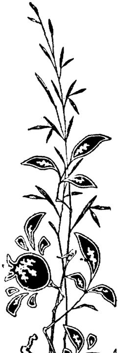 花纹边框