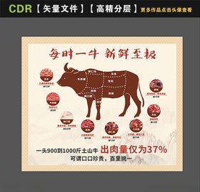牛肉分割图