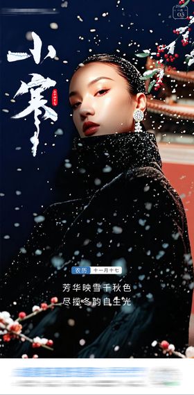 医美小寒节气海报