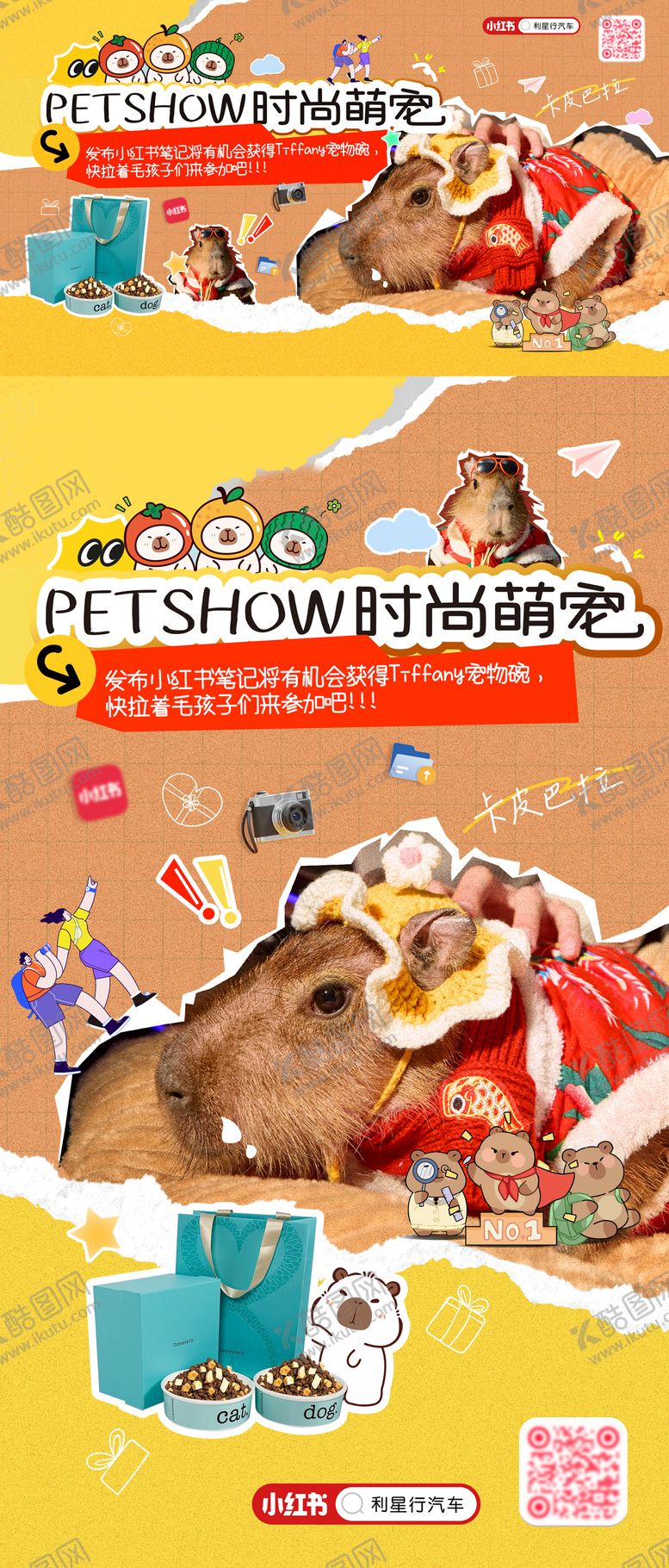 编号：23875005091655593362【酷图网】源文件下载-宠物海报