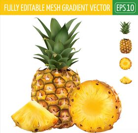 菠萝pineapple
