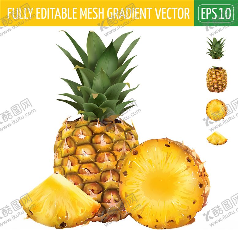 编号：52862305082204073306【酷图网】源文件下载-菠萝pineapple