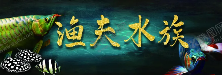 编号：68271111240709118371【酷图网】源文件下载-水族馆门头