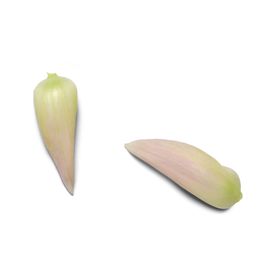 花瓣