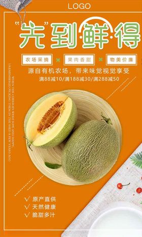 哈密瓜图片