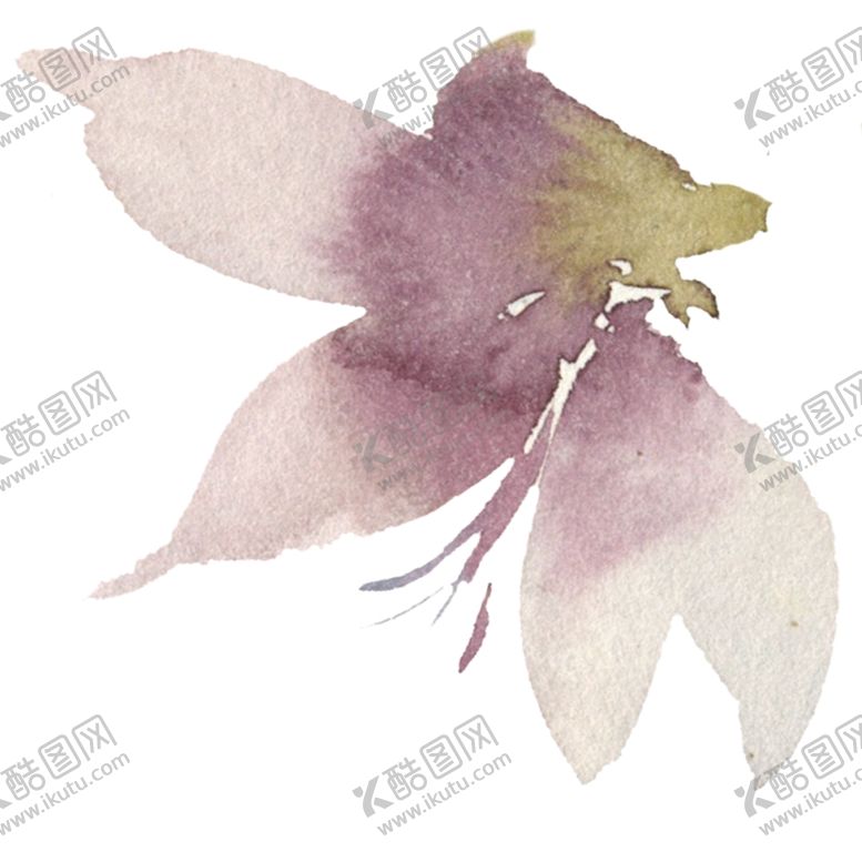 编号：97039207071352139635【酷图网】源文件下载-花卉树叶