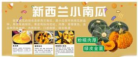 新西兰小南瓜