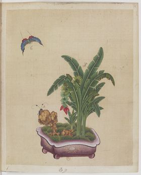 盆景花鸟