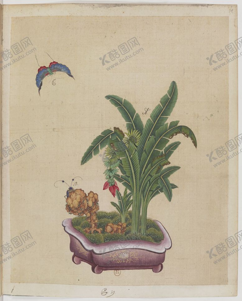 编号：20644809202340312465【酷图网】源文件下载-盆景花鸟