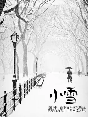 小雪插画设计