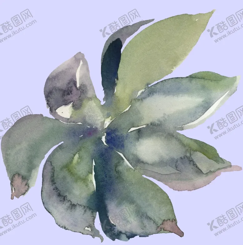 编号：50799511301030176502【酷图网】源文件下载-植物水彩画