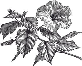 线描植物布料印花花卉绿叶女装设计箱包印花