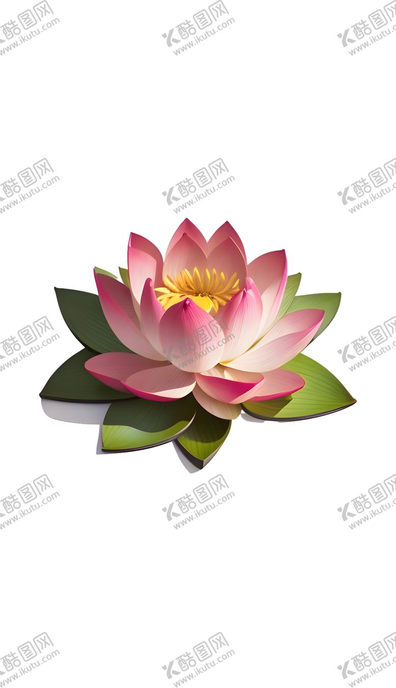 编号：55916101211052347747【酷图网】源文件下载-荷花莲花鲜花荷叶水莲