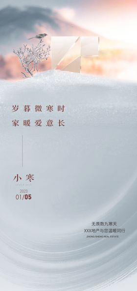 小寒节气海报