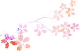 花朵