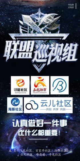 联盟巡视组